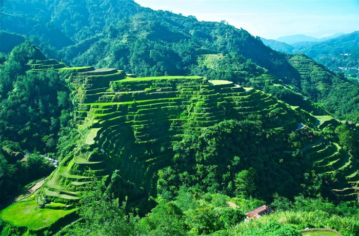 Banaue Rice Terraces, Ifugao