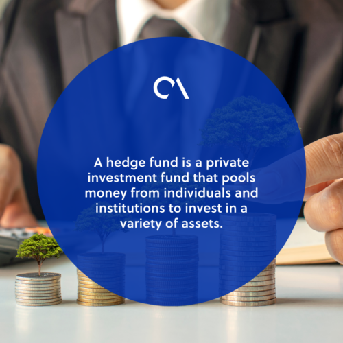 What does a hedge fund do