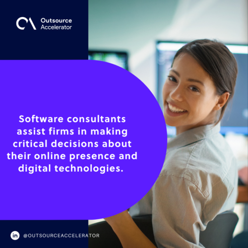 What does a software consultant do