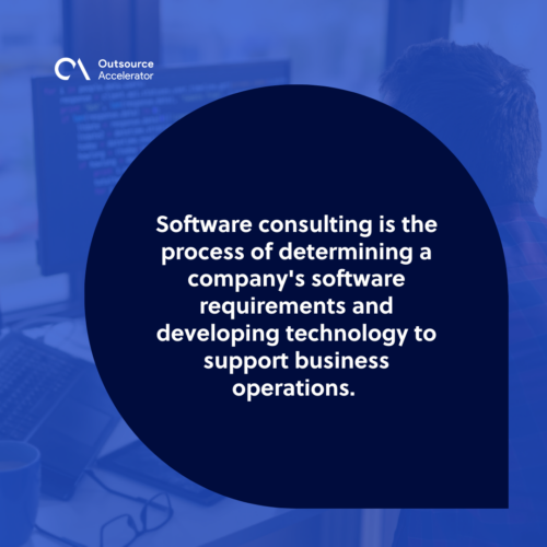 What is a software consulting