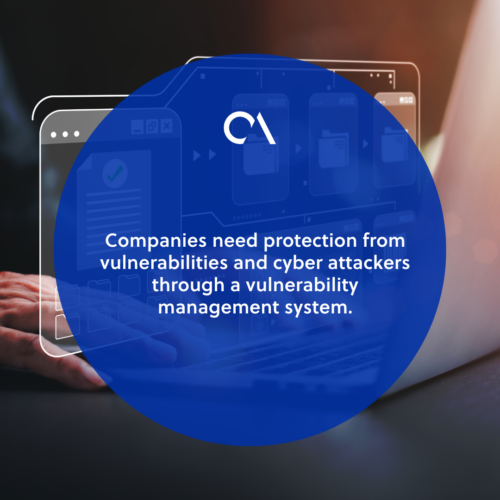 What is a vulnerability management system