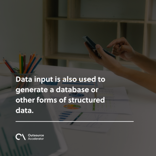 What is data input