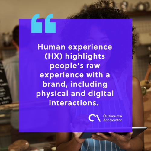 What is human experience in business