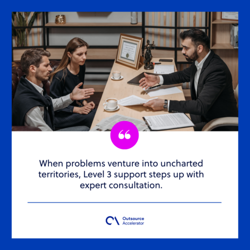 Level 3: Expert consultation