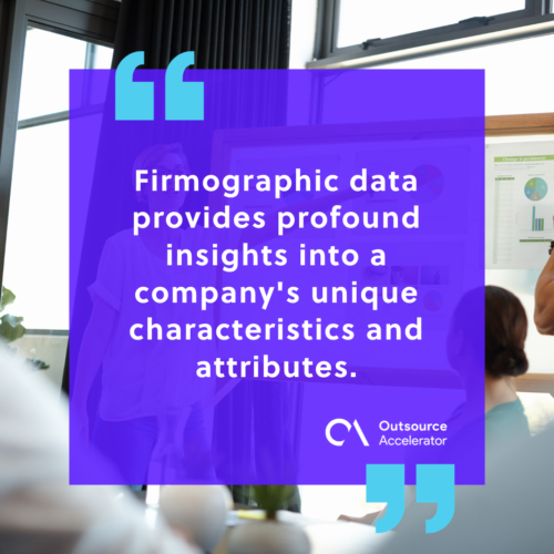 What is firmographic data