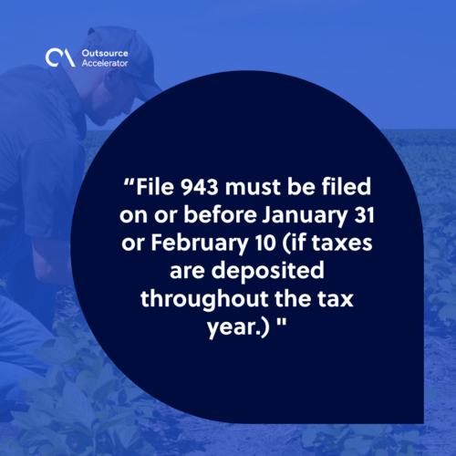 When to file Form 943