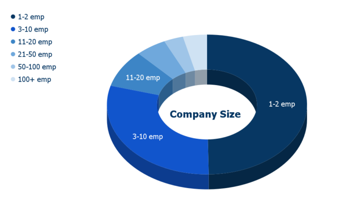 Size of clients' company