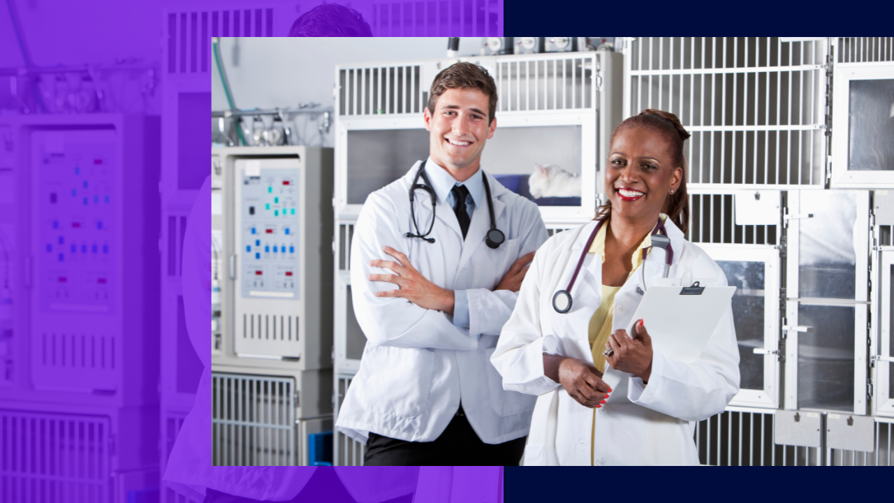 The value of hiring a veterinary scribe for your practice
