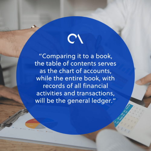 Chart of accounts vs general ledger Key differences