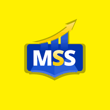 MSS Solutions, LLC