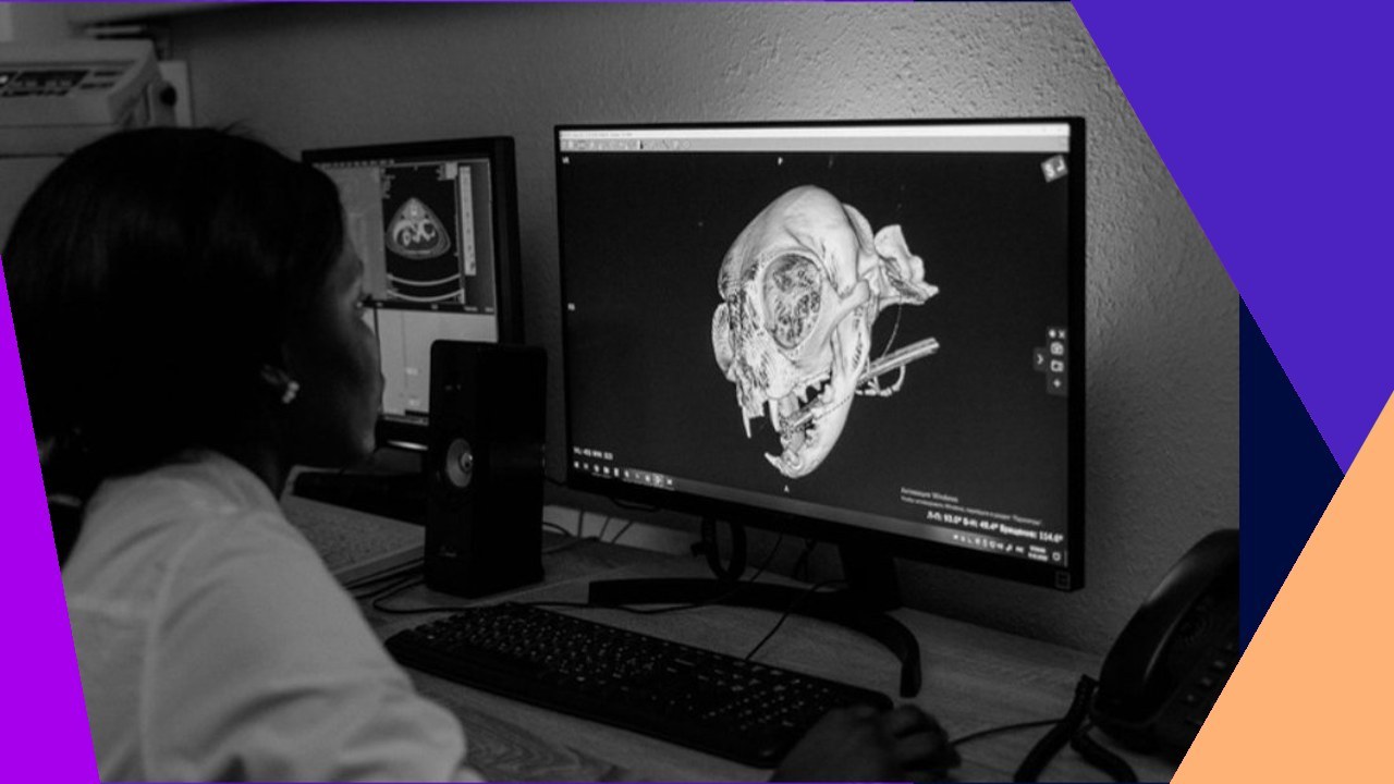 Doctor analyzes 3D medical scan, showcasing machine learning's future in healthcare transformation.