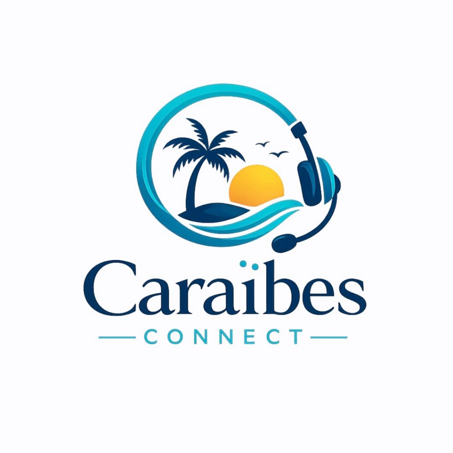 Caraïbes Connect LLC